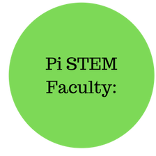 The faculty at PiSA